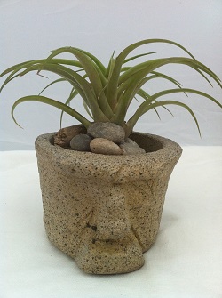 Easter Allan Garden Statue With Air Plant