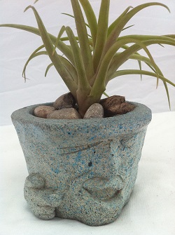 Wink & The Gun Garden Statue With Air Plant