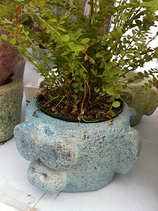 Monkey Flower Pot
