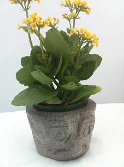Professor Garden Statue With Flower