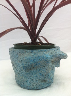 Robo Joe Garden Statue With Air Plant